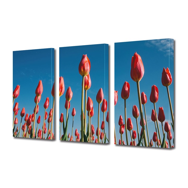 Set Tablouri Multicanvas 3 piese, Art Star, Lalele inaltate, Flori, Panza pe cadru de lemn, Decoratiuni Moderne pentru Casa, 30 x 60 cm(3 piese de 20 x 30 cm)