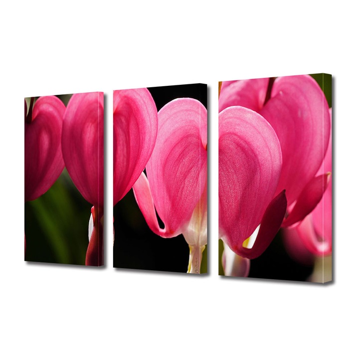 Set Tablouri Multicanvas 3 piese, Art Star, Cerceii doamnei, Flori, Panza pe cadru de lemn, Decoratiuni Moderne pentru Casa, 45 x 90 cm(3 piese de 30 x 45 cm)