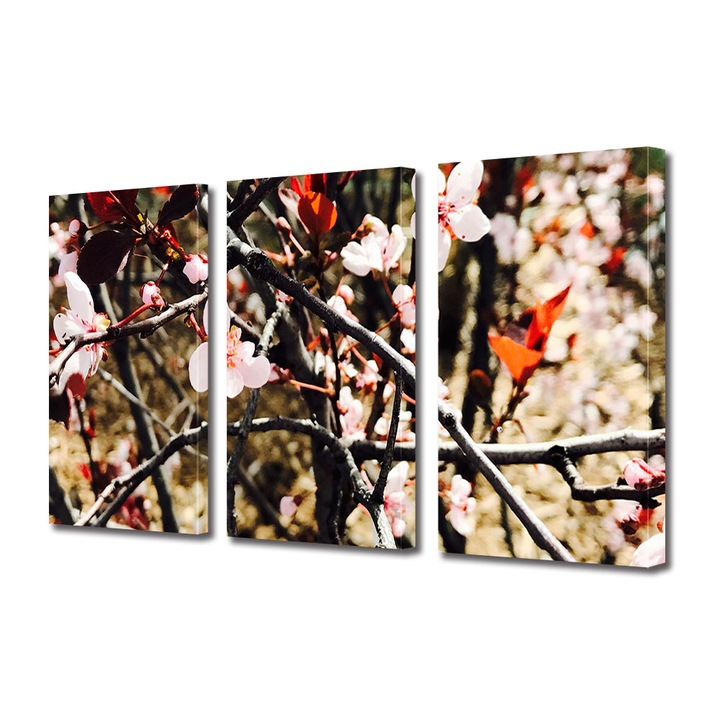 Set Tablouri Multicanvas 3 piese, Art Star, Ramuri cu flori in razele soarelui, Flori, Panza pe cadru de lemn, Decoratiuni Moderne pentru Casa, 45 x 90 cm(3 piese de 30 x 45 cm)