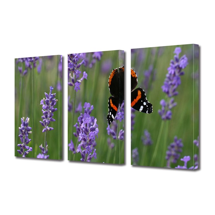 Set Tablouri Multicanvas 3 piese, Art Star, Fluture si lavanda, Flori, Panza pe cadru de lemn, Decoratiuni Moderne pentru Casa, 70 x 150 cm(3 piese de 50 x 70 cm)
