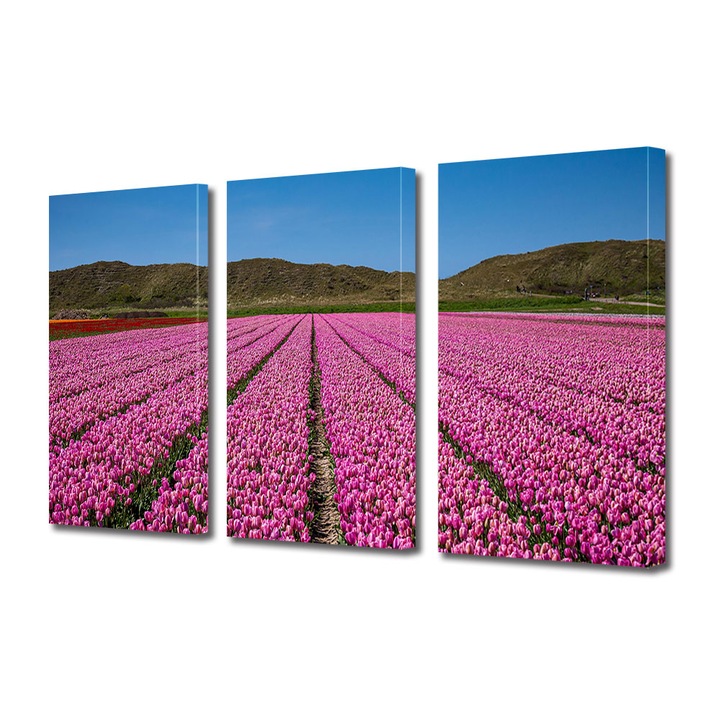 Set Tablouri Multicanvas 3 piese, Art Star, Lalele roz aliniate, Flori, Panza pe cadru de lemn, Decoratiuni Moderne pentru Casa, 100 x 210 cm(3 piese de 70 x 100 cm)