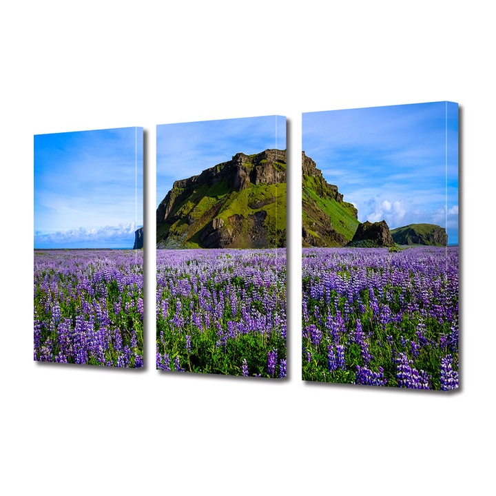 Set Tablouri Multicanvas 3 piese, Art Star, Camp cu lavanda infinit, Flori, Panza pe cadru de lemn, Decoratiuni Moderne pentru Casa, 45 x 90 cm(3 piese de 30 x 45 cm)