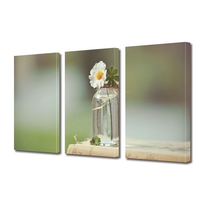 Set Tablouri Multicanvas 3 piese, Art Star, Floare mica in decorul vintage, Flori, Panza pe cadru de lemn, Decoratiuni Moderne pentru Casa, 30 x 60 cm(3 piese de 20 x 30 cm)