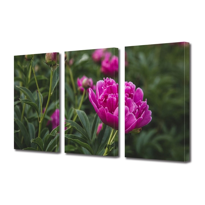 Set Tablouri Multicanvas 3 piese, Art Star, Roz in mediul verde, Flori, Panza pe cadru de lemn, Decoratiuni Moderne pentru Casa, 45 x 90 cm(3 piese de 30 x 45 cm)