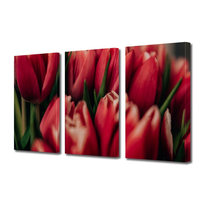 Set Tablouri Multicanvas 3 piese, Art Star, Lalele rosii closeup, Flori, Panza pe cadru de lemn, Decoratiuni Moderne pentru Casa, 30 x 60 cm(3 piese de 20 x 30 cm)