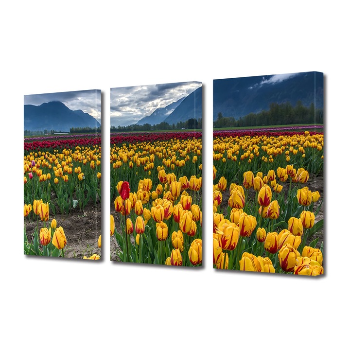 Set Tablouri Multicanvas 3 piese, Art Star, Lalele multicolore insiruite, Flori, Panza pe cadru de lemn, Decoratiuni Moderne pentru Casa, 30 x 60 cm(3 piese de 20 x 30 cm)