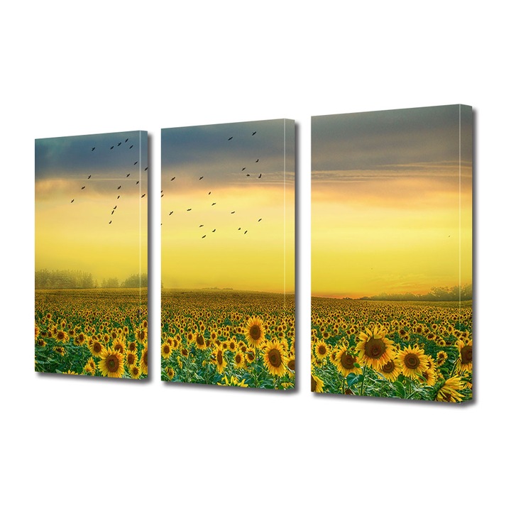 Set Tablouri Multicanvas 3 piese, Art Star, Camp de floarea-soarelui si pasarile calatoare, Flori, Panza pe cadru de lemn, Decoratiuni Moderne pentru Casa, 60 x 120 cm(3 piese de 40 x 60 cm)