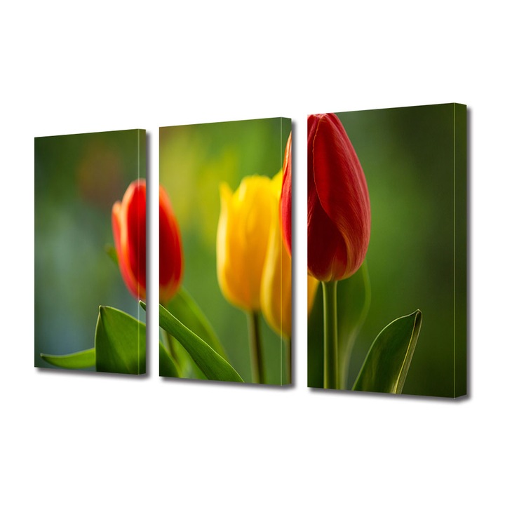 Set Tablouri Multicanvas 3 piese, Art Star, Lalele splendide, Flori, Panza pe cadru de lemn, Decoratiuni Moderne pentru Casa, 30 x 60 cm(3 piese de 20 x 30 cm)