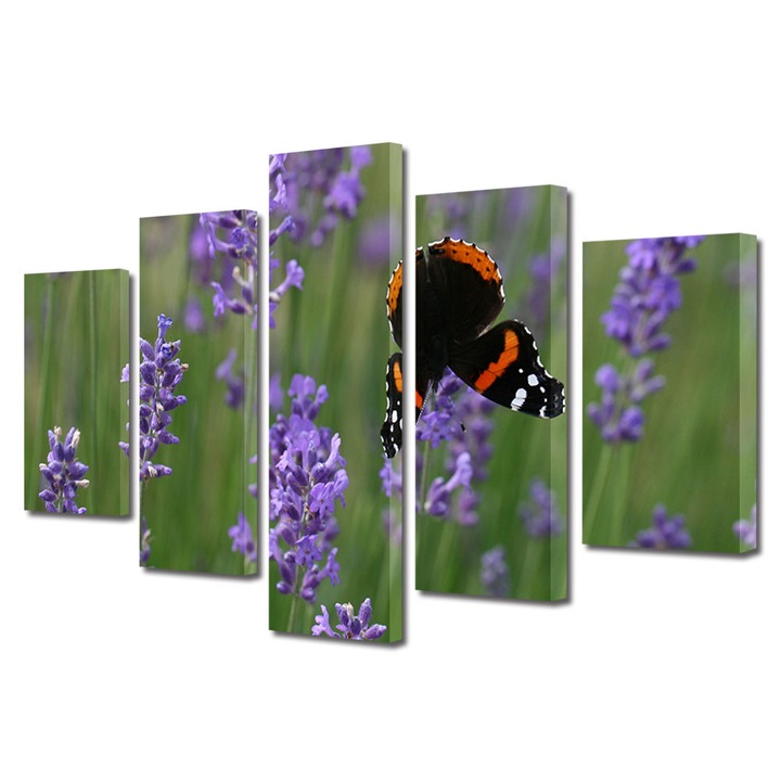 Set Tablouri Multicanvas 5 piese, Art Star, Fluture si lavanda, Flori, Panza pe cadru de lemn, Decoratiuni Moderne pentru Casa, 110 x 200 cm