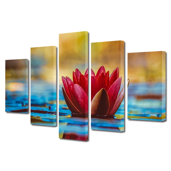 Set Tablouri Multicanvas 5 piese, Art Star, Floare de lotus plutind deasupra apei, Flori, Panza pe cadru de lemn, Decoratiuni Moderne pentru Casa, 60 x 100 cm