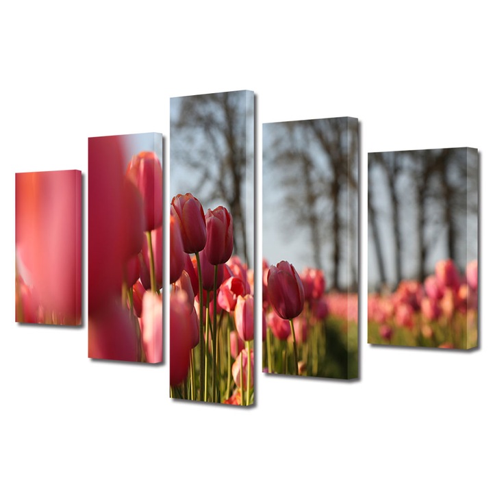 Set Tablouri Multicanvas 5 piese, Art Star, Lalele aliniate, Flori, Panza pe cadru de lemn, Decoratiuni Moderne pentru Casa, 60 x 100 cm