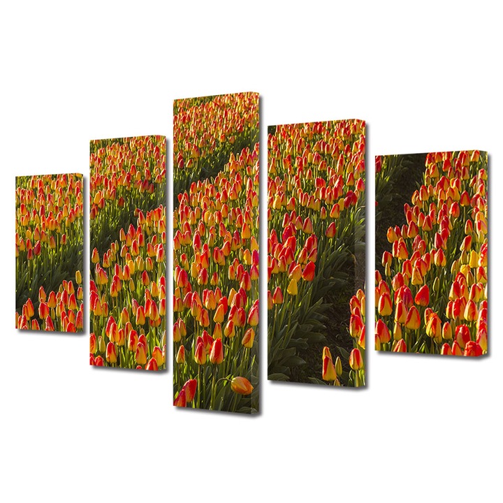 Set Tablouri Multicanvas 5 piese, Art Star, Carari intre lalele, Flori, Panza pe cadru de lemn, Decoratiuni Moderne pentru Casa, 60 x 100 cm