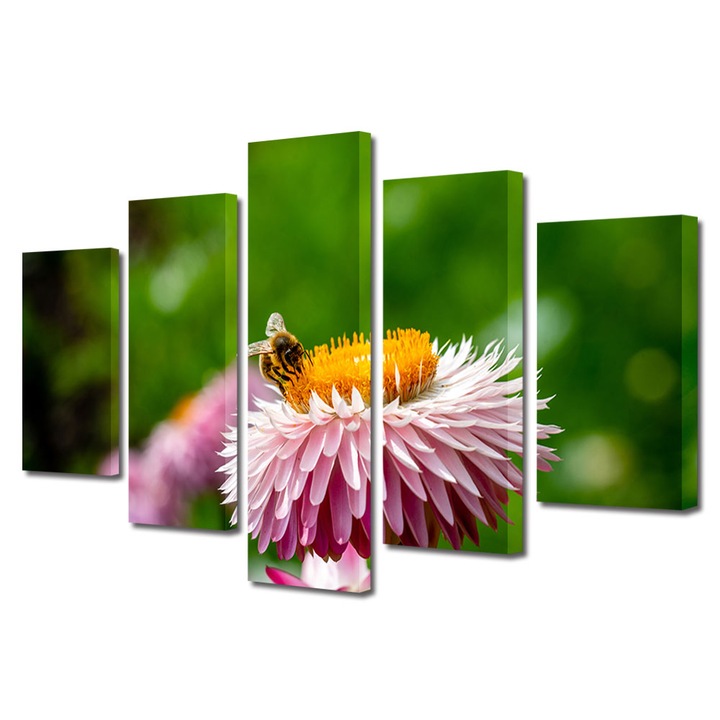 Set Tablouri Multicanvas 5 piese, Art Star, La cules de polen, Flori, Panza pe cadru de lemn, Decoratiuni Moderne pentru Casa, 60 x 100 cm