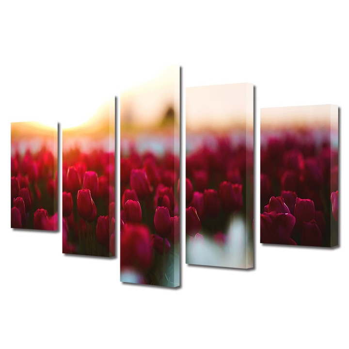 Set Tablouri Multicanvas 5 piese, Art Star, Camp cu lalele rosii blurat, Flori, Panza pe cadru de lemn, Decoratiuni Moderne pentru Casa, 60 x 100 cm