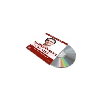 Marketingul de nisa, Ionut Ciurea Marketingul de nisa, Ionut Ciurea