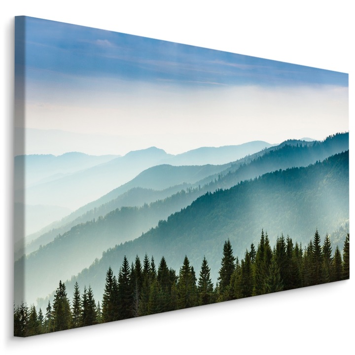 Tablou pentru Sufragerie PEISAJ Montan Copaci 3D 40cm x 30cm Cer, Nori, Padure, Canvas, Vedere, Efect 3D, Living