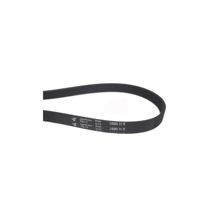 Curea compatibila uscator Fagor/Candy/Otsein, Megadyne, Reporshop, 1890 H8