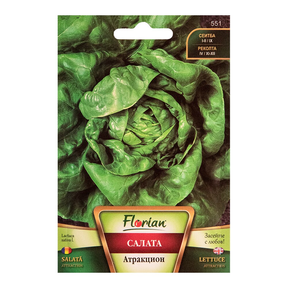 Seminte salata Atraktion 2g, Florian