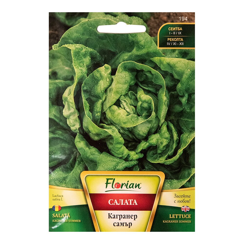 Seminte salata Kagraner Sommer 2g, Florian