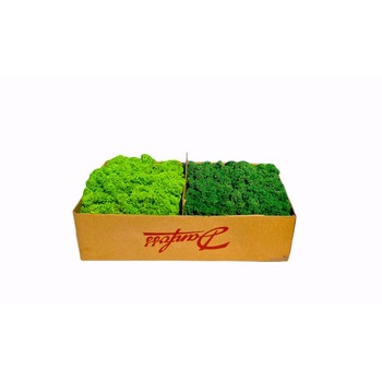 Licheni Stabilizati doua culori cutie 500 g, Grass Green si Grass Green Light Licheni Stabilizati doua culori cutie 500 g, Grass Green si Grass Green Light