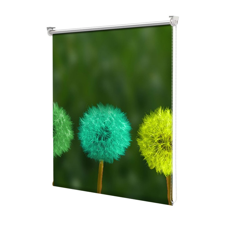 Roleta Art Shade tip Jaluzea cu Rulou si sistem inclus, Art Star, Papadii multicolore, Flori, Decoratiuni, Latime 75 cm x Inaltime 130 cm