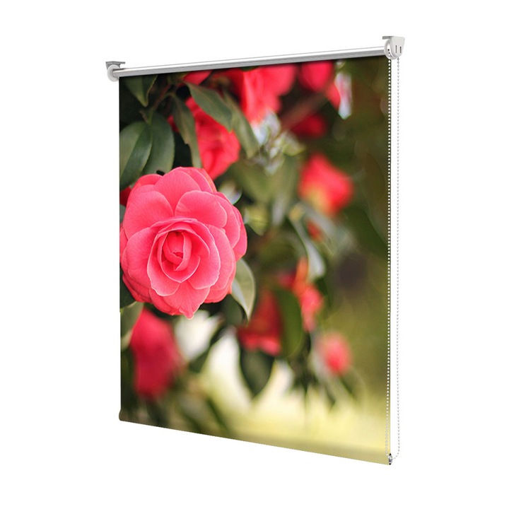 Roleta Art Shade tip Jaluzea cu Rulou si sistem inclus, Art Star, Roz rosiatic intens, Flori, Decoratiuni, Latime 65 cm x Inaltime 130 cm