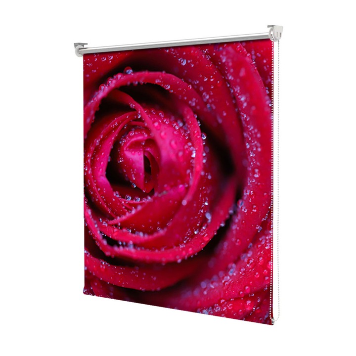 Roleta Art Shade tip Jaluzea cu Rulou si sistem inclus, Art Star, Trandafir parfumat, Flori, Decoratiuni, Latime 140 cm x Inaltime 250 cm