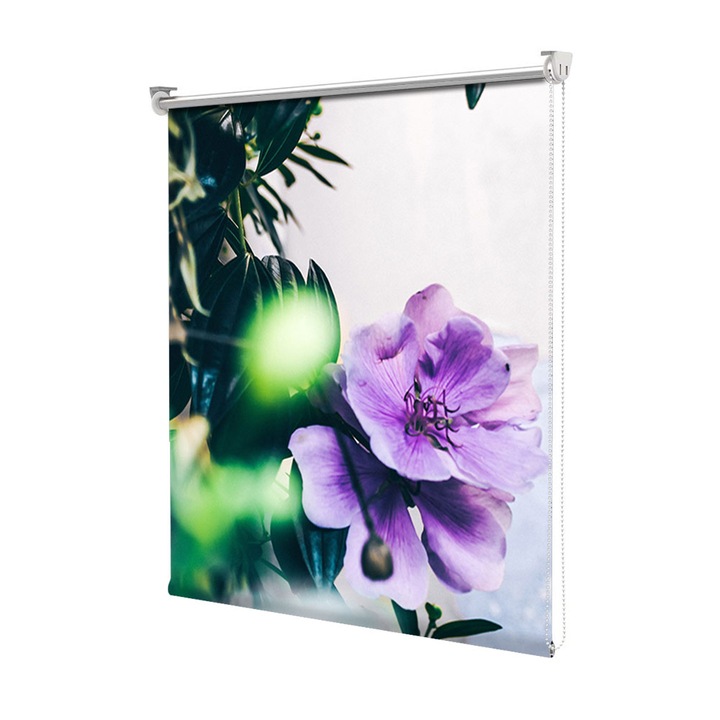 Roleta Art Shade tip Jaluzea cu Rulou si sistem inclus, Art Star, Flori violet in natura verde, Flori, Decoratiuni, Latime 150 cm x Inaltime 250 cm