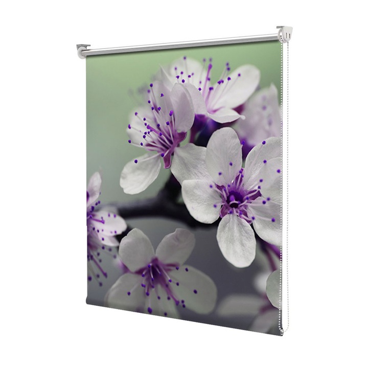 Roleta Art Shade tip Jaluzea cu Rulou si sistem inclus, Art Star, Flori de cires cu violet, Flori, Decoratiuni, Latime 160 cm x Inaltime 250 cm