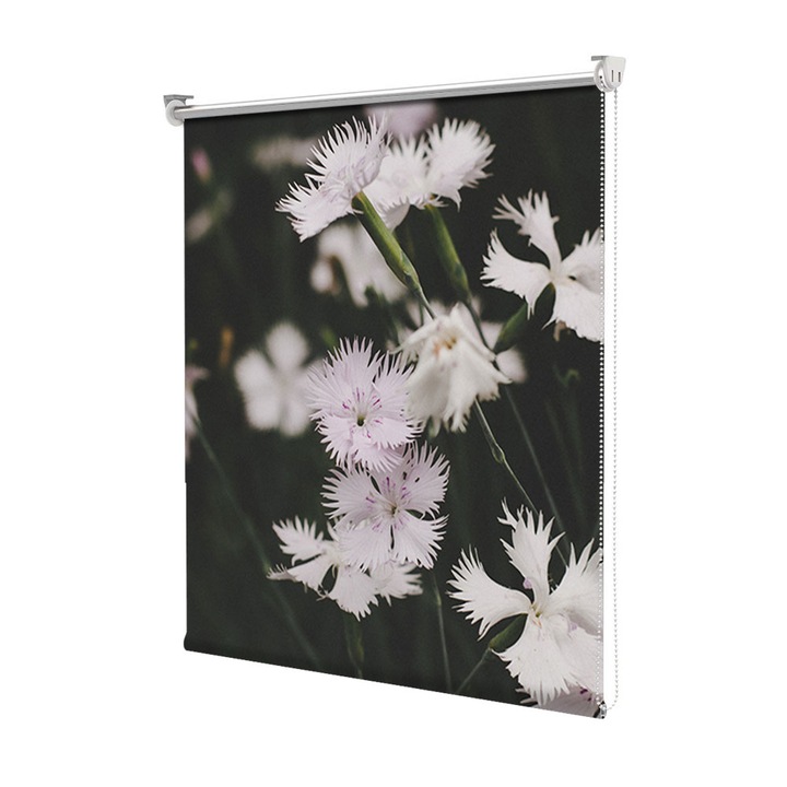 Roleta Art Shade tip Jaluzea cu Rulou si sistem inclus, Art Star, Garofite albe de stanca, Flori, Decoratiuni, Latime 150 cm x Inaltime 250 cm