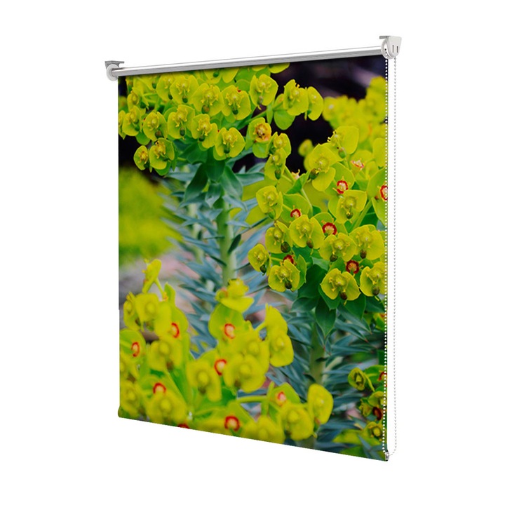 Roleta Art Shade tip Jaluzea cu Rulou si sistem inclus, Art Star, Natura verde, Flori, Decoratiuni, Latime 140 cm x Inaltime 250 cm