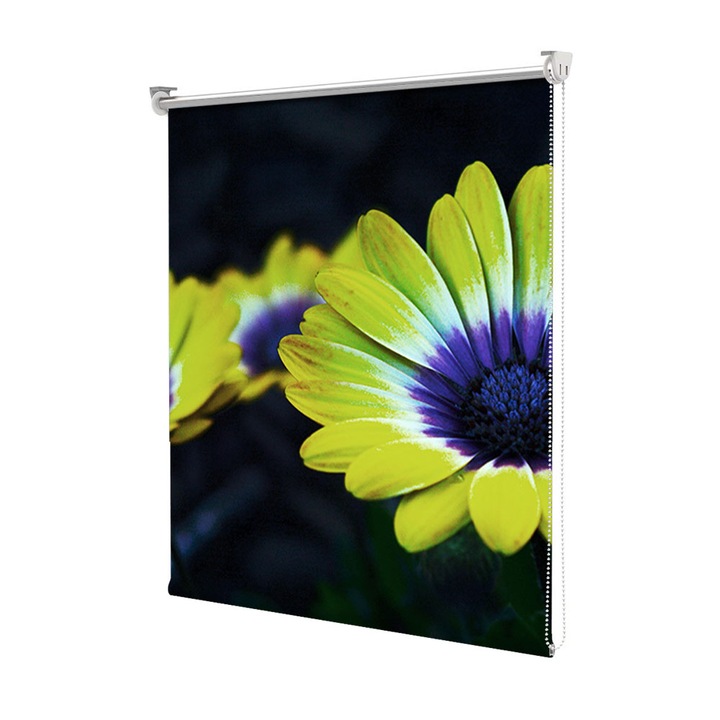 Roleta Art Shade tip Jaluzea cu Rulou si sistem inclus, Art Star, Flori cu petale in trei culori, Flori, Decoratiuni, Latime 60 cm x Inaltime 130 cm