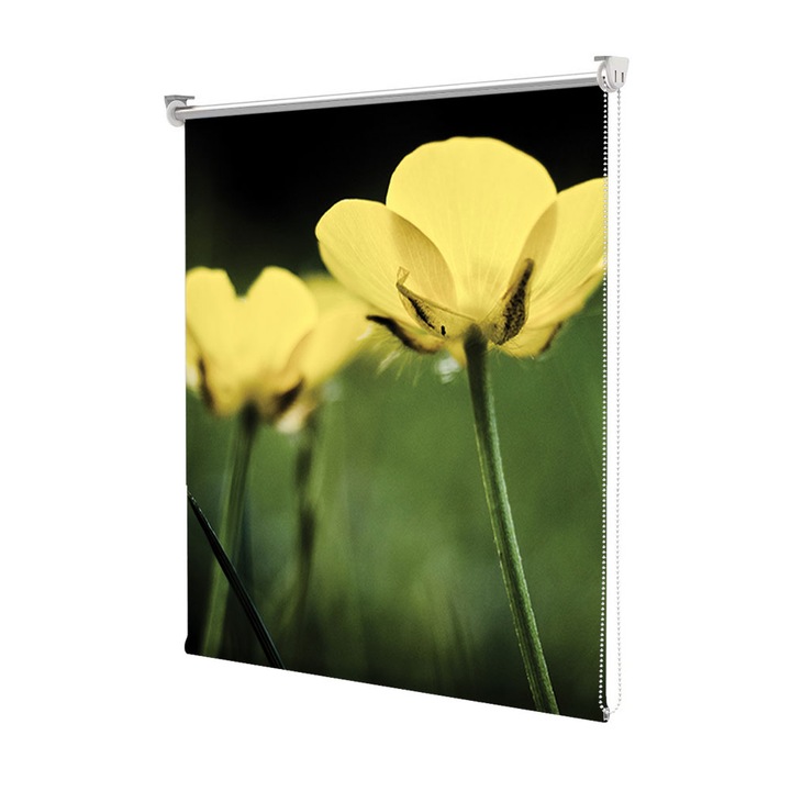 Roleta Art Shade tip Jaluzea cu Rulou si sistem inclus, Art Star, Flori galbene fotografiate de jos, Flori, Decoratiuni, Latime 140 cm x Inaltime 250 cm