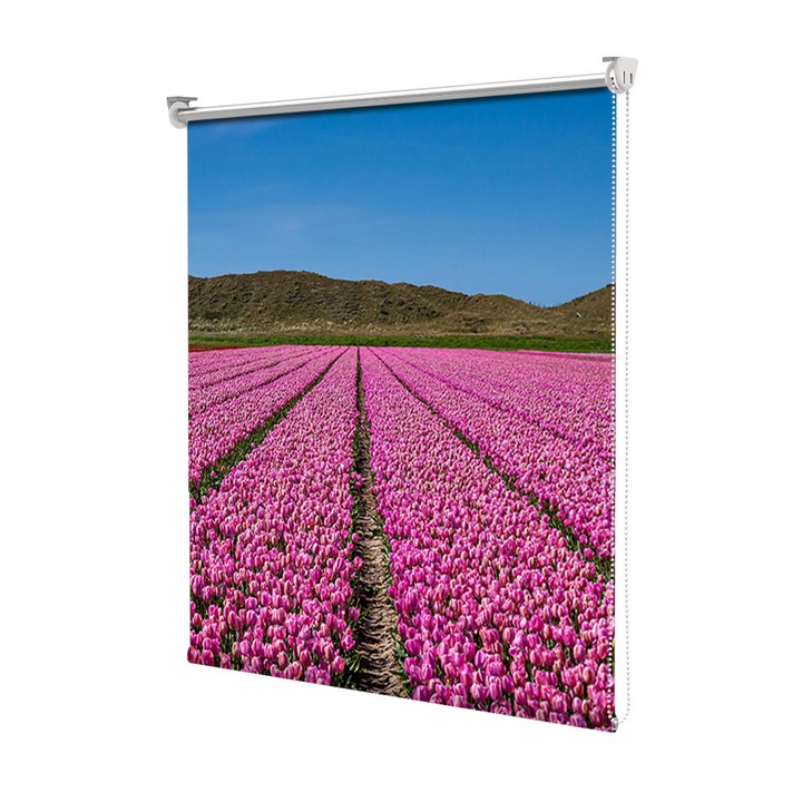 Roleta Art Shade tip Jaluzea cu Rulou si sistem inclus, Art Star, Lalele roz aliniate, Flori, Decoratiuni, Latime 50 cm x Inaltime 250 cm