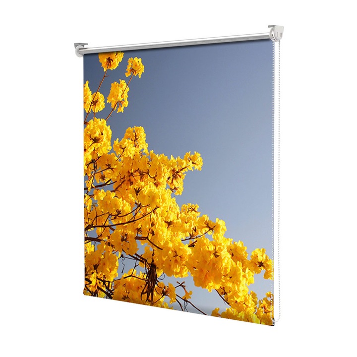 Roleta Art Shade tip Jaluzea cu Rulou si sistem inclus, Art Star, Ramuri bogate in galben, Flori, Decoratiuni, Latime 55 cm x Inaltime 130 cm