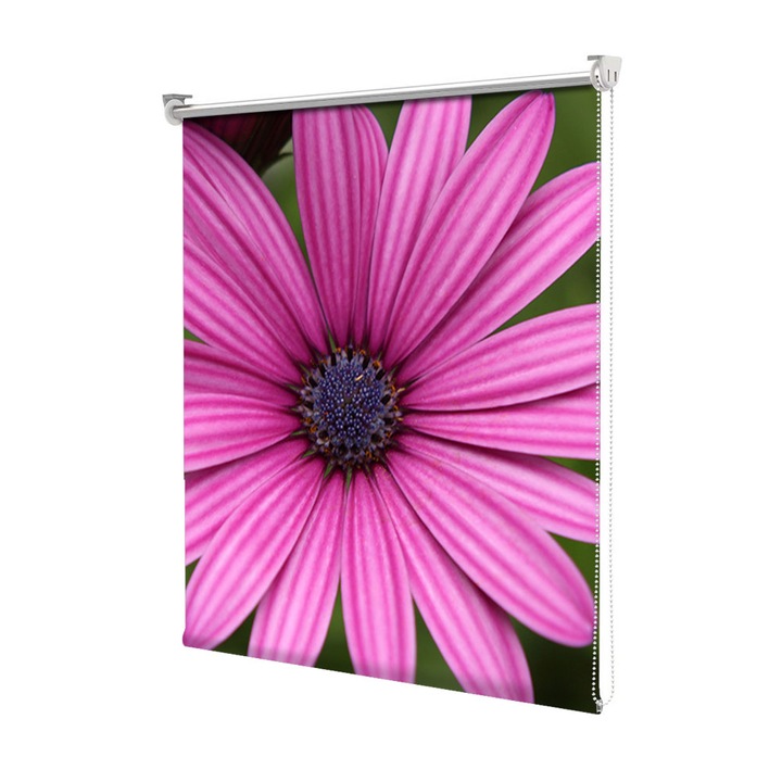 Roleta Art Shade tip Jaluzea cu Rulou si sistem inclus, Art Star, Floare de gerbera in prim plan, Flori, Decoratiuni, Latime 65 cm x Inaltime 130 cm