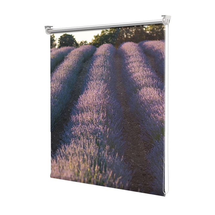 Roleta Art Shade tip Jaluzea cu Rulou si sistem inclus, Art Star, Insiruiri de plante violet, Flori, Decoratiuni, Latime 140 cm x Inaltime 250 cm