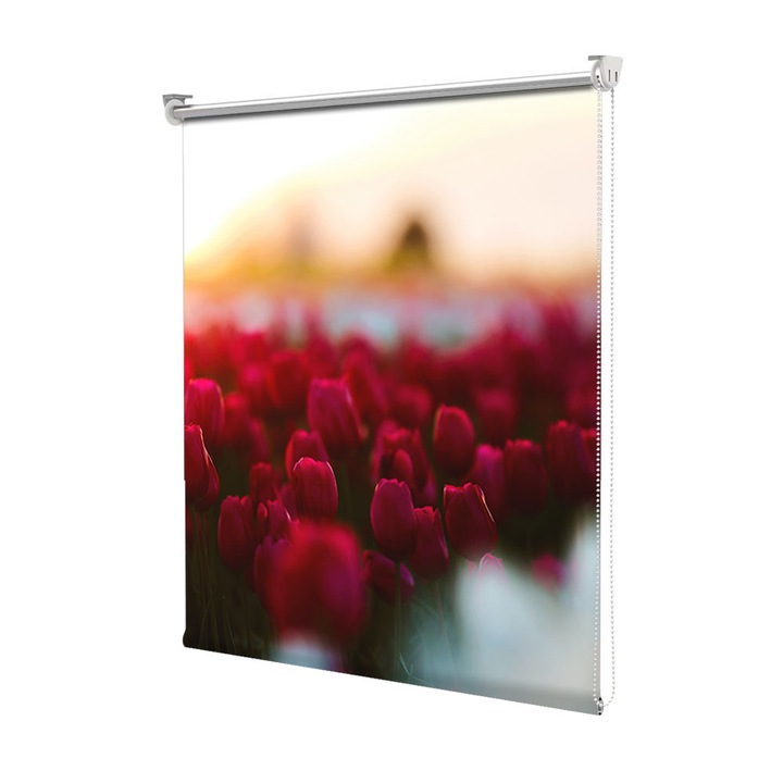 Roleta Art Shade tip Jaluzea cu Rulou si sistem inclus, Art Star, Camp cu lalele rosii blurat, Flori, Decoratiuni, Latime 55 cm x Inaltime 130 cm