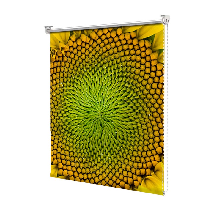 Roleta Art Shade tip Jaluzea cu Rulou si sistem inclus, Art Star, Intre petale, Flori, Decoratiuni, Latime 80 cm x Inaltime 250 cm