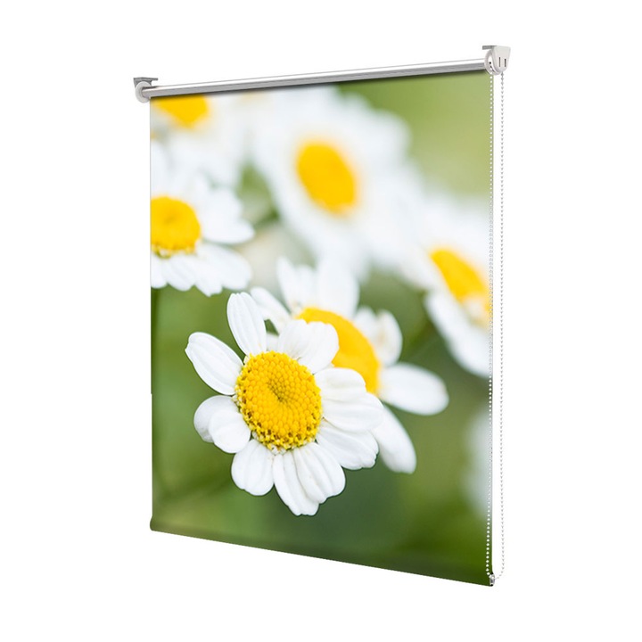 Roleta Art Shade tip Jaluzea cu Rulou si sistem inclus, Art Star, Flori albe pe fundal verde, Flori, Decoratiuni, Latime 130 cm x Inaltime 250 cm
