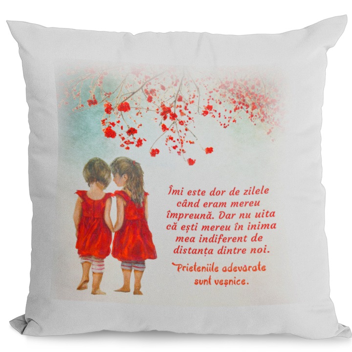 Perna Decorativa 40x40 cm, cu Mesaj de Prietenie, Joystos