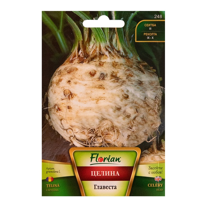 Seminte telina de radacina Gigant Praga 2g, Florian