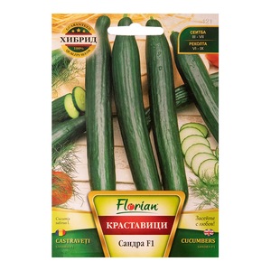 Bulbi, seminte si rasaduri