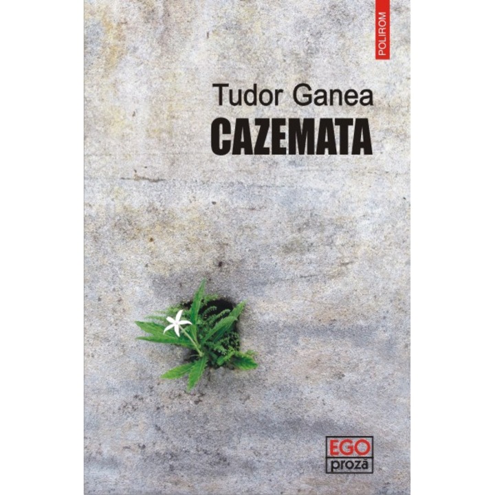 Cazemata - Tudor Ganea