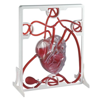 Imagini EDU TOYS MK019 - Compara Preturi | 3CHEAPS