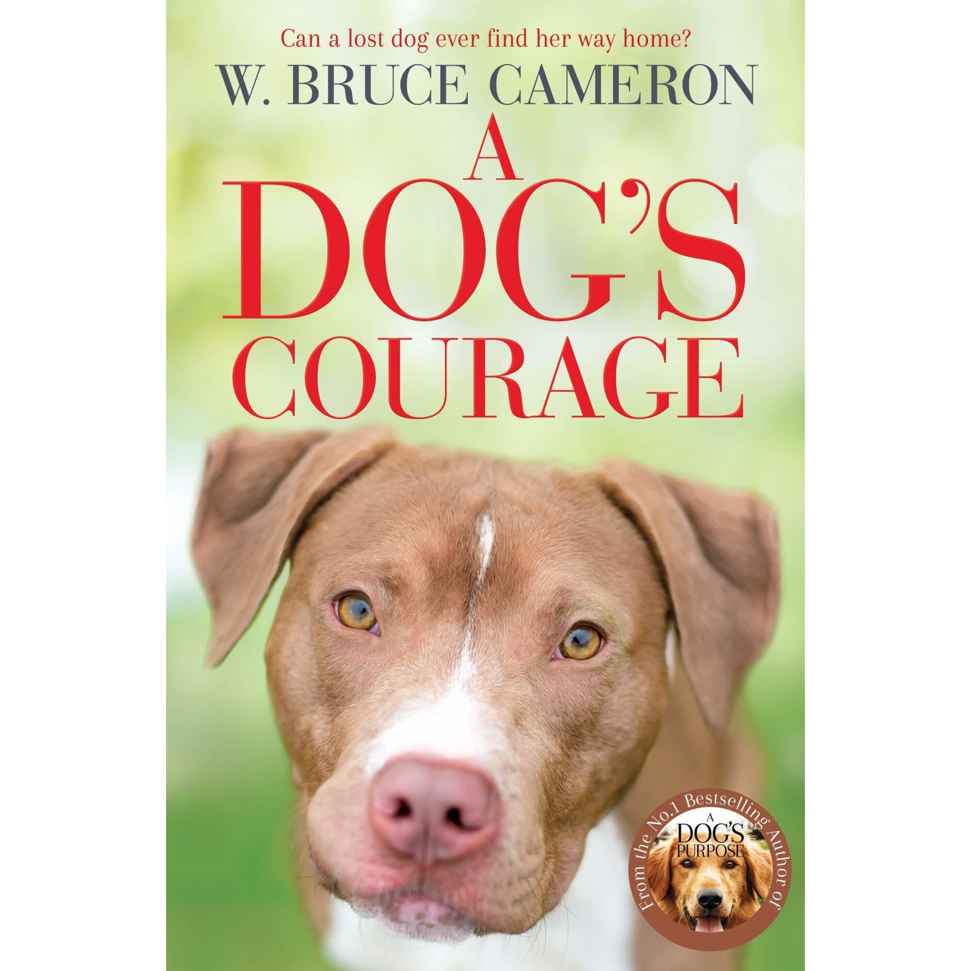 A Dog's Courage - W. Bruce Cameron, editia 2021
