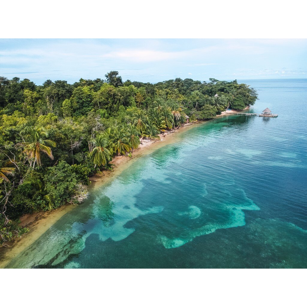 Tablou canvas Plaja65 pe insula cu palmieri, 90 x 60 cm