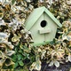 Madárház, zöld