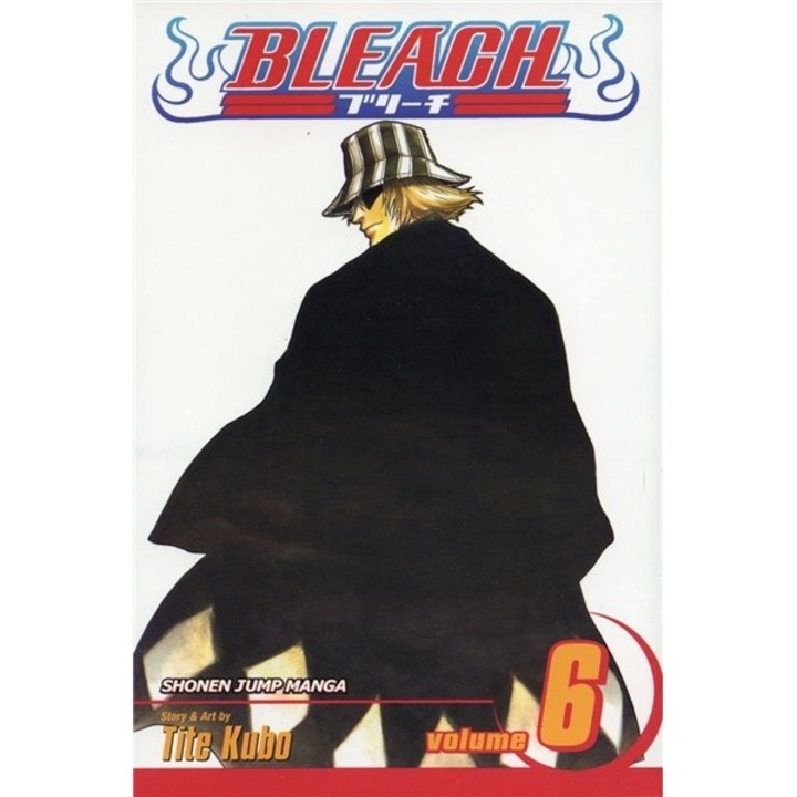Bleach 06