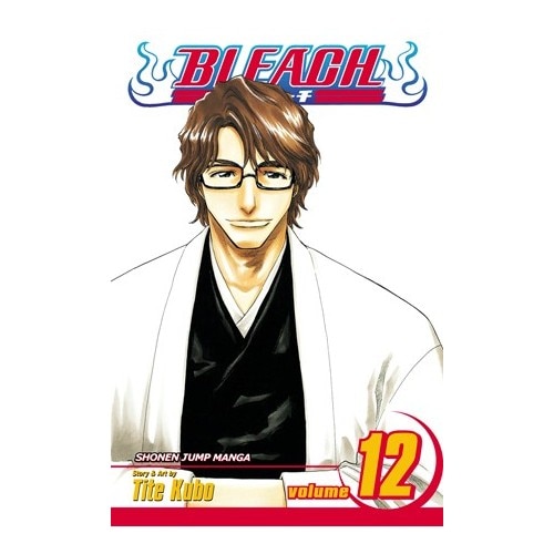 Bleach 12